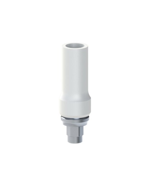 Co-Cr Base with castable compatible with Biomet® 3i®...