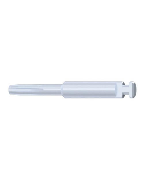 Screwdriver tip compatible avec Neodent® GM Micro Abutment