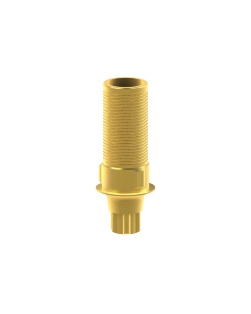Ti-base personnalisable compatible avec Straumann® BLX®