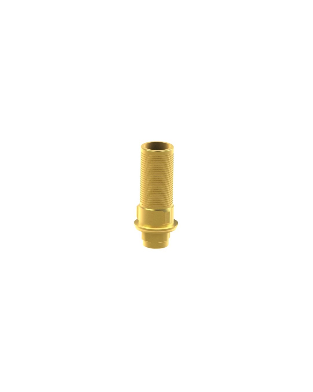 Custom Ti-Base compatible avec BTI® Interna