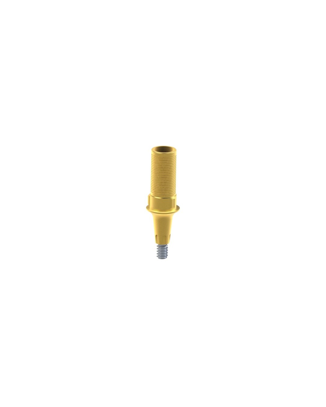 Custom Ti-Base compatible avec Dentsply® Ankylos®