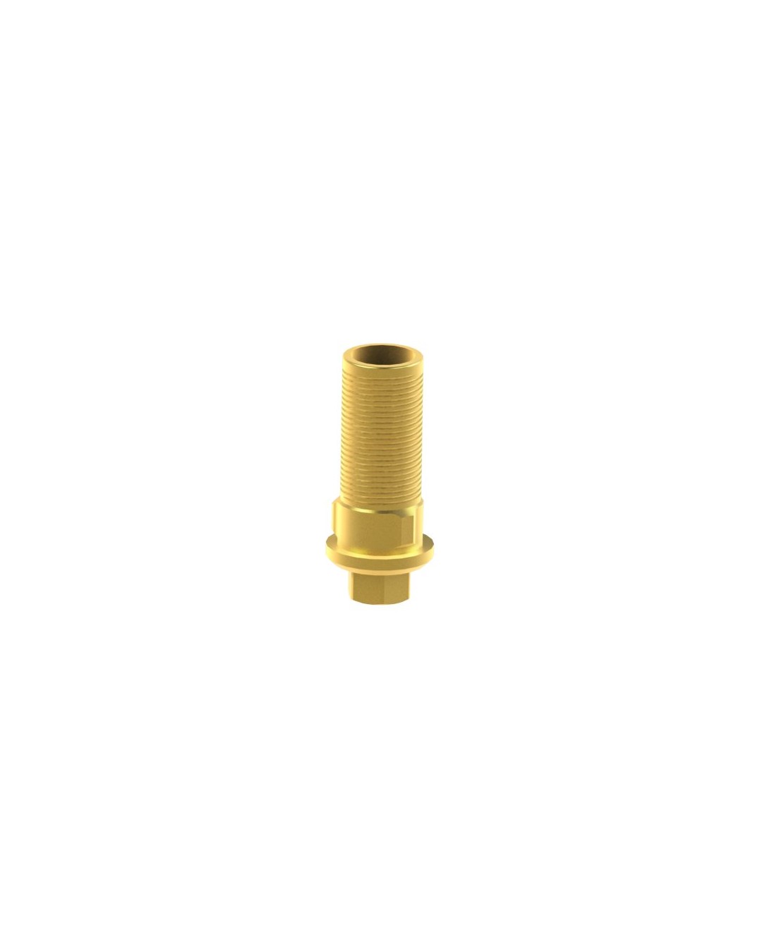 Custom Ti-Base compatible avec BioHorizons® Tapered Internal®