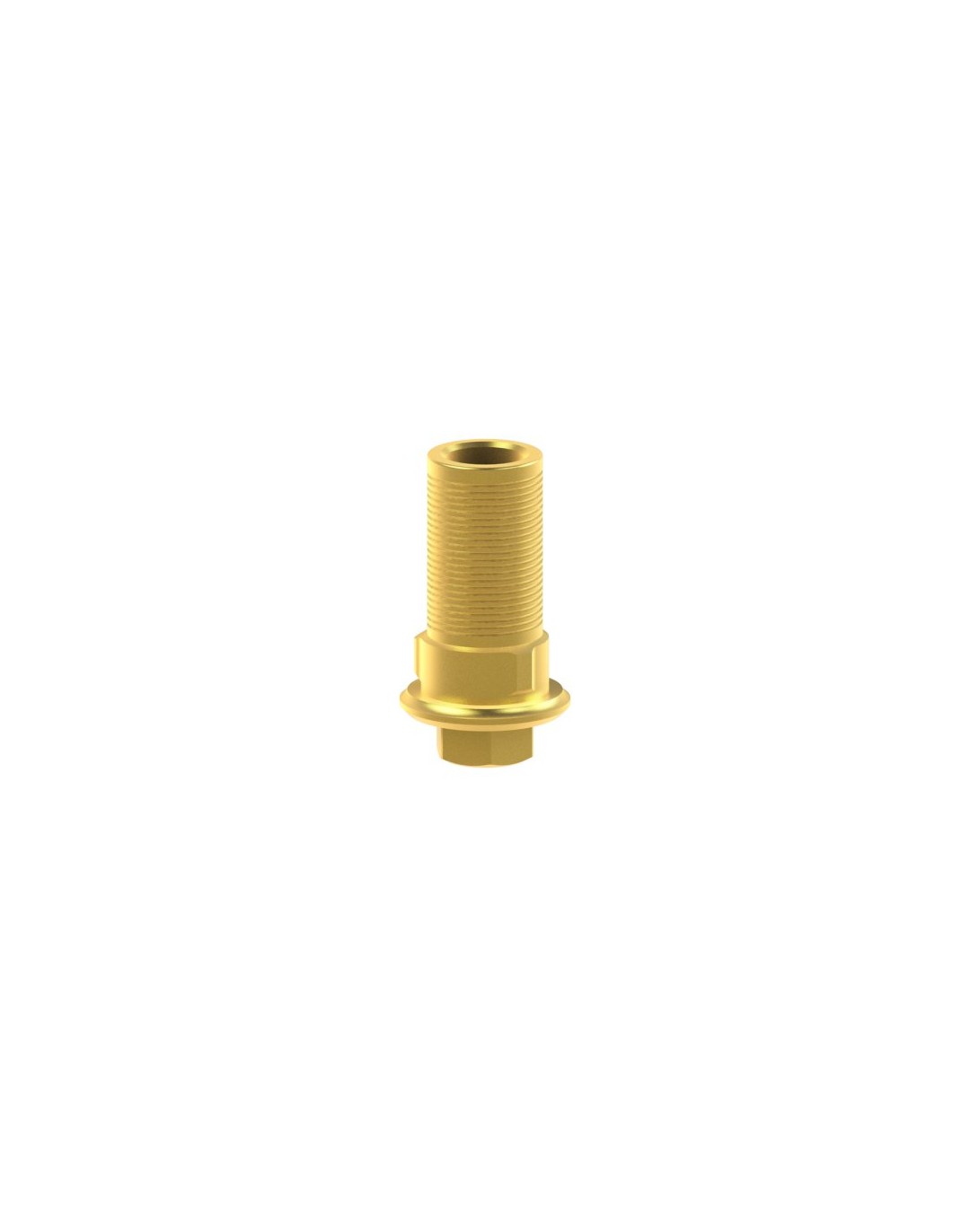 Custom Ti-Base compatible avec BioHorizons® Tapered Internal®