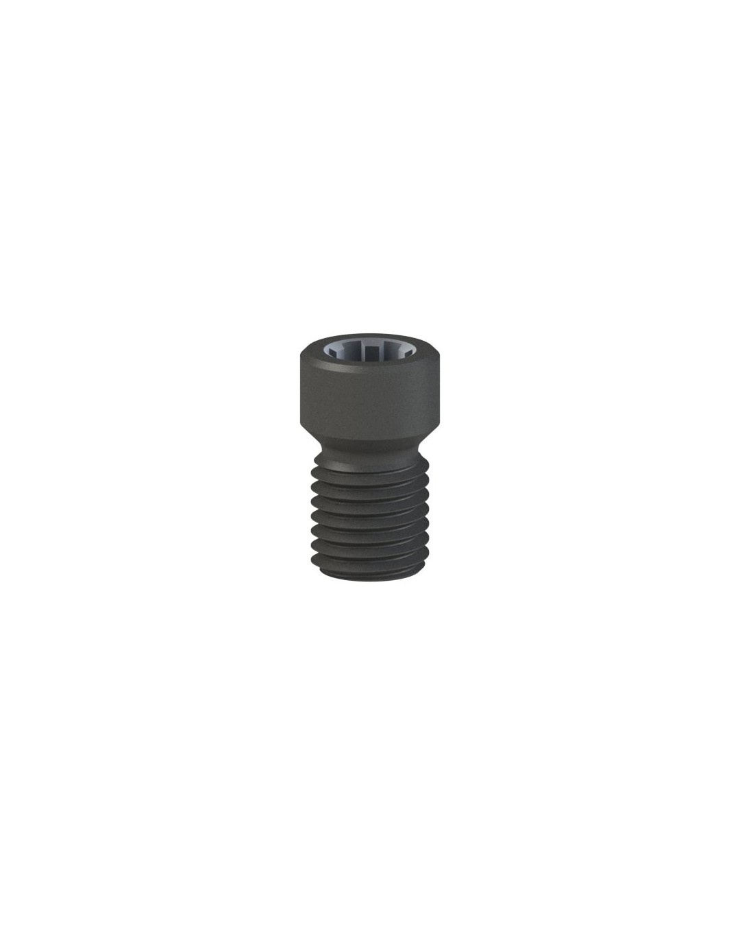 Screws compatible avec Neodent® GM Abutment