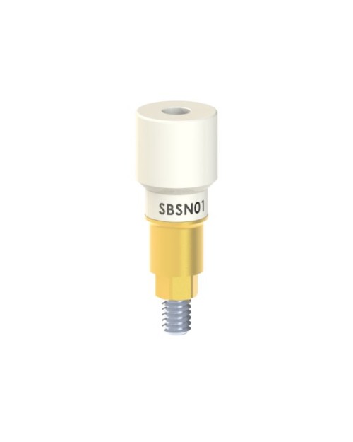 Scanbodies compatible avec Bego® Semados® SC/RS