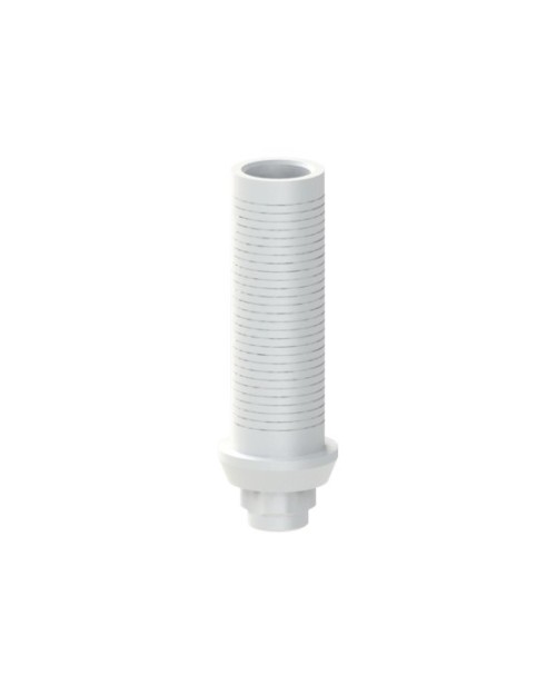Calcinable compatible avec BTI® Interna