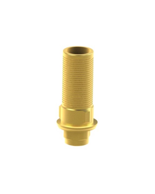 Ti-base personnalisable compatible avec BTI® Interna
