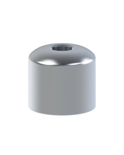 Pilier de Cicatrisation compatible avec BTI® Multi-IM®