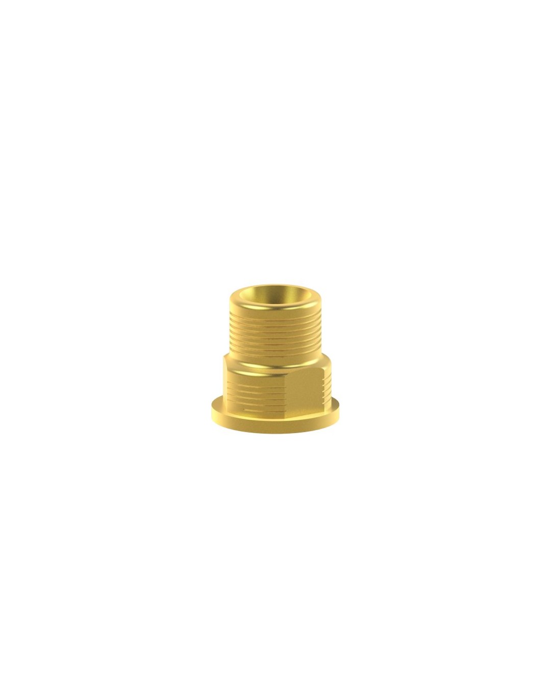Custom Ti-Base compatible avec Biomet® 3i® Low Profile Abutment