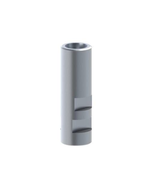 Analogue compatible avec Dentsply® Ankylos®