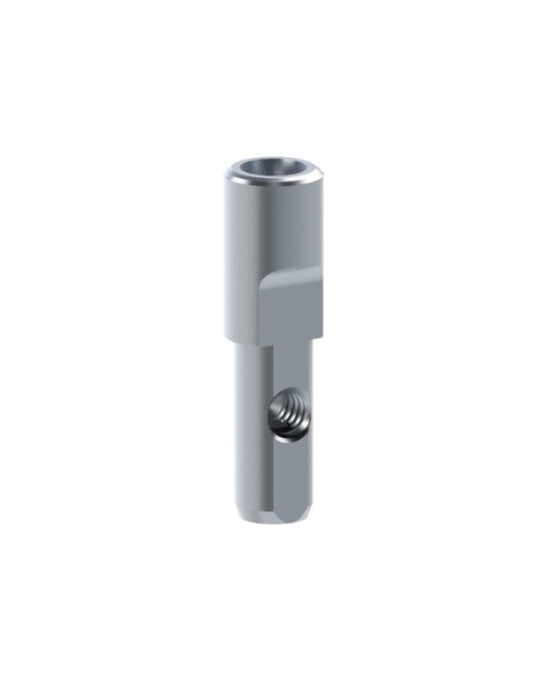 Analogue compatible avec Dentsply® Ankylos®