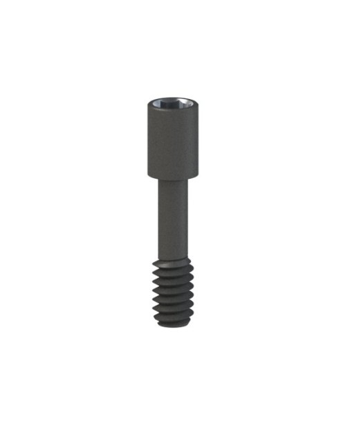 Vis en titane compatible avec Zimmer® Eztetic®