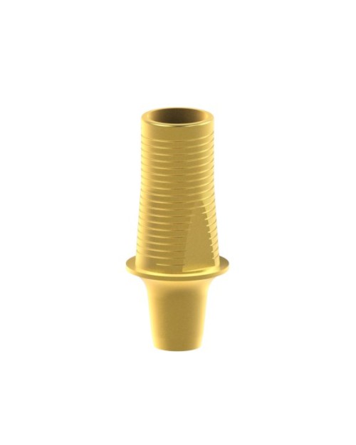 Custom Ti-base compatible avec Dentsply® Ankylos®