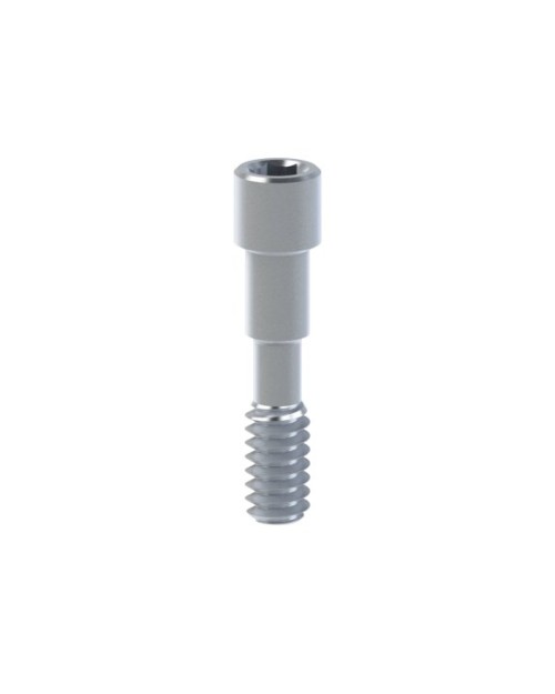 Vis en titane compatible avec Camlog® Conelog®