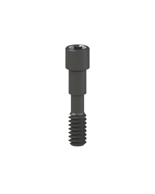 Vis en titane compatible avec Camlog® Conelog®