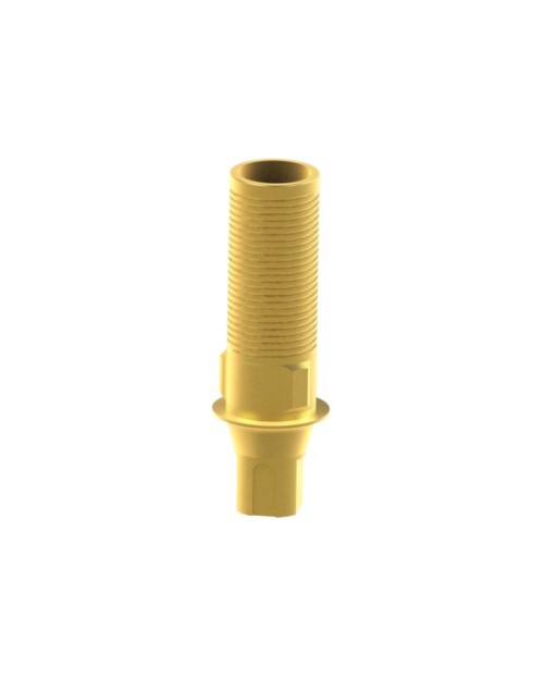 Ti-Base Personnalisable compatible avec Straumann® Bone...