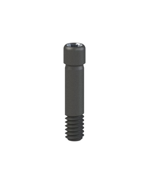 Titanium Screw compatible with Dentium®...