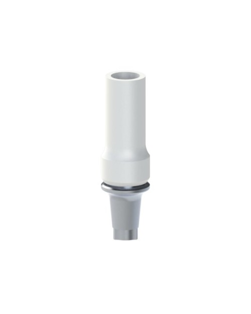 Co-Cr Base with castable compatible with Biotech® Dental...