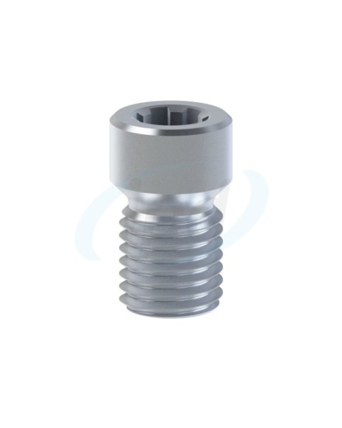 Vis en titane compatible avec Neodent® GM Abutment