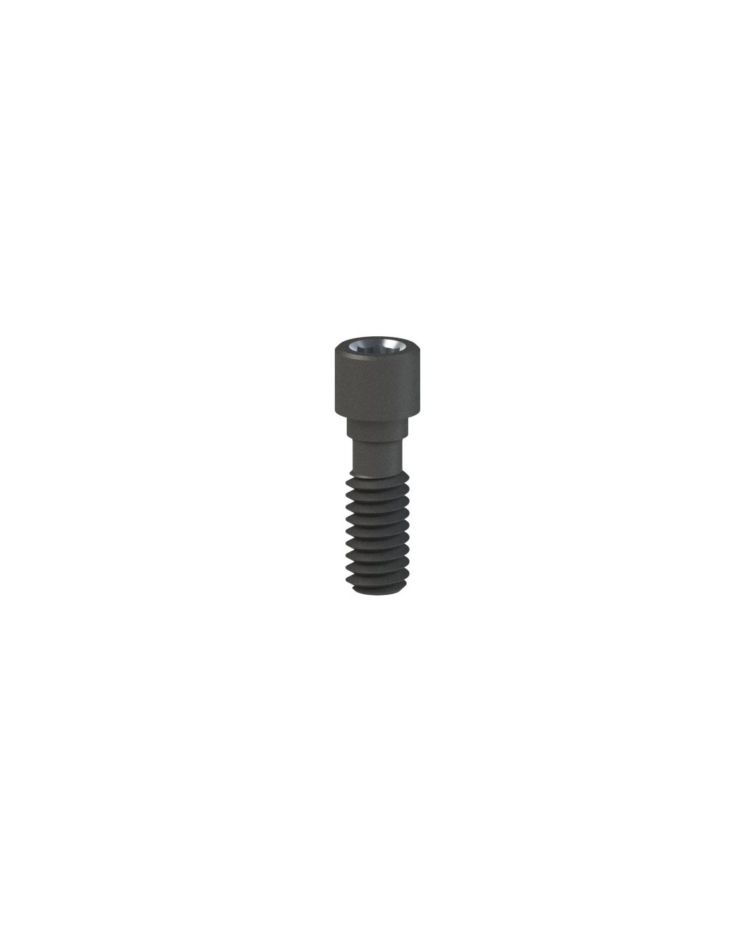 Titanium Screw compatible avec BTI® Interna