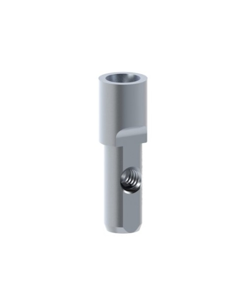 Analogue compatible avec Anthogyr® Axiom® BL