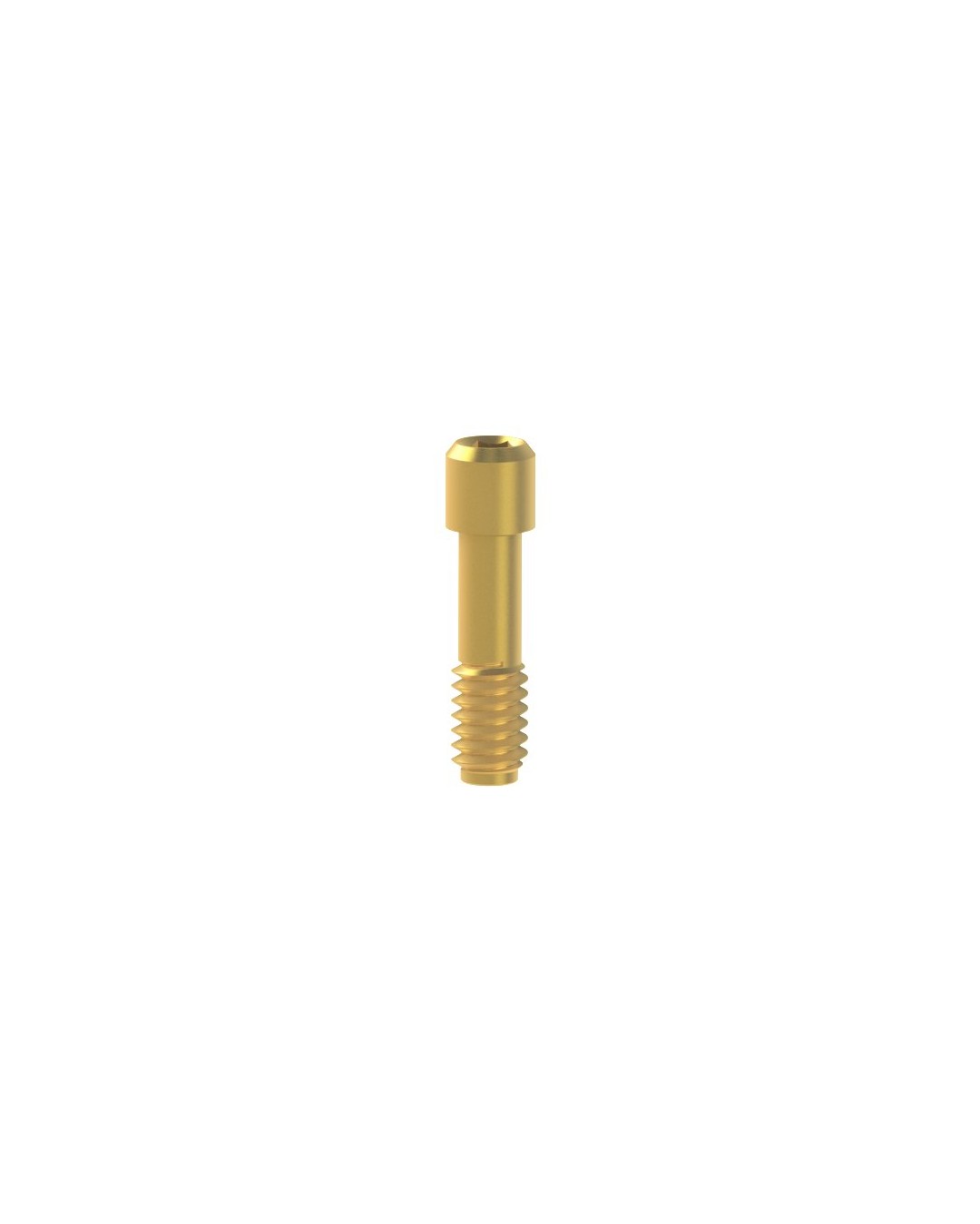 Titanium Screw compatible avec Megagen® AnyRidge®