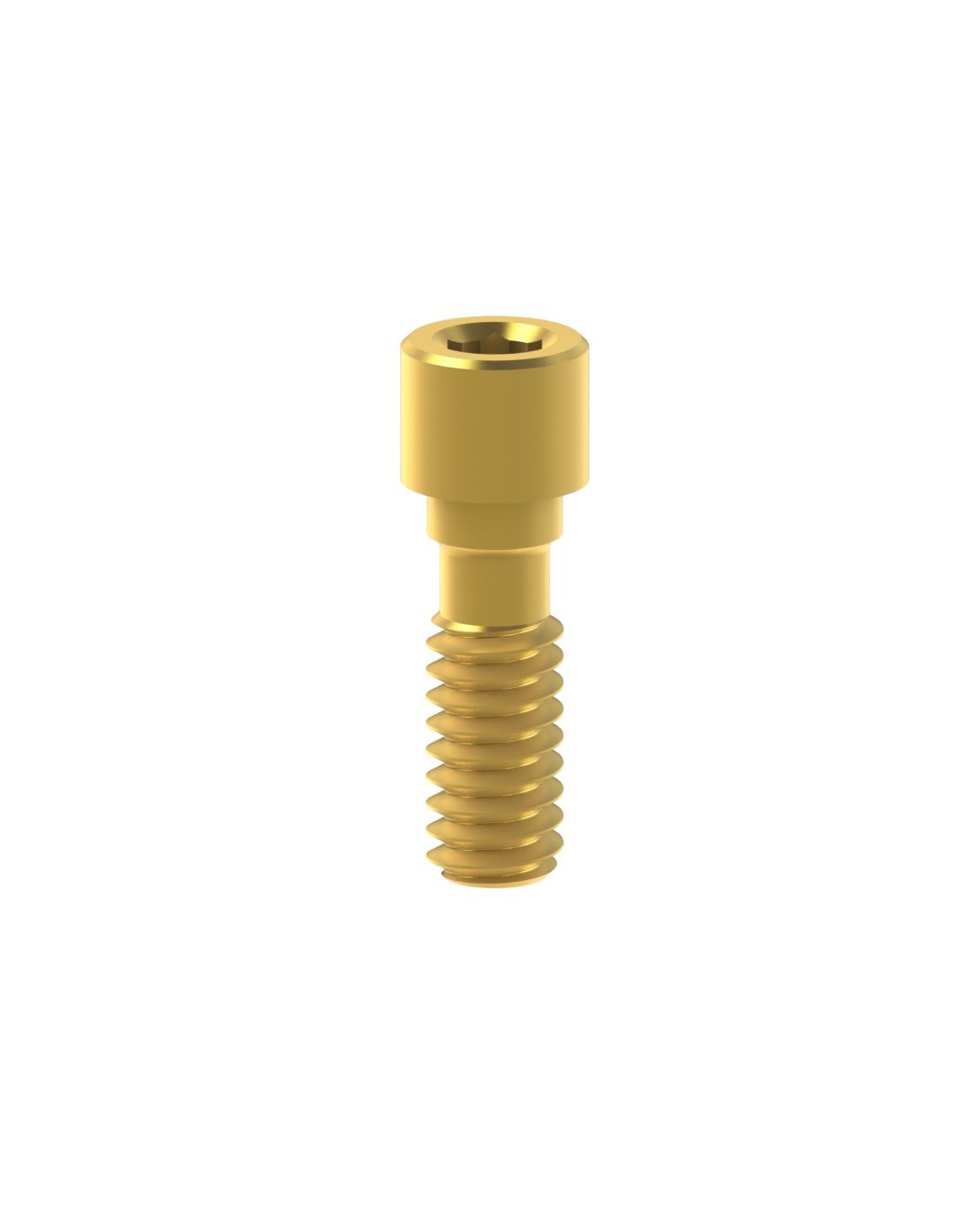 Titanium Screw compatible avec BTI® Internal Hex